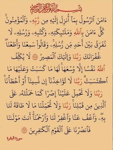 EslaM 3bdo𓂆 🇵🇸🔻🇸🇩 tweet media