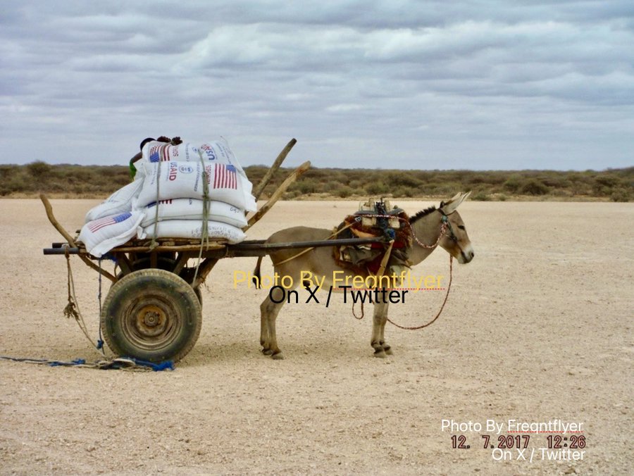 FreqntFlyer's tweet image. #TravelTuesday 

@MarinStrade 

( Circa February 2017 / 2022  )

AirOPS 

#FoodSecurity  from  
🇺🇸 @USAID  
@US2Somalia  🇸🇴

🇮🇹@WFPLogistics
@logcluster 

#Logistics