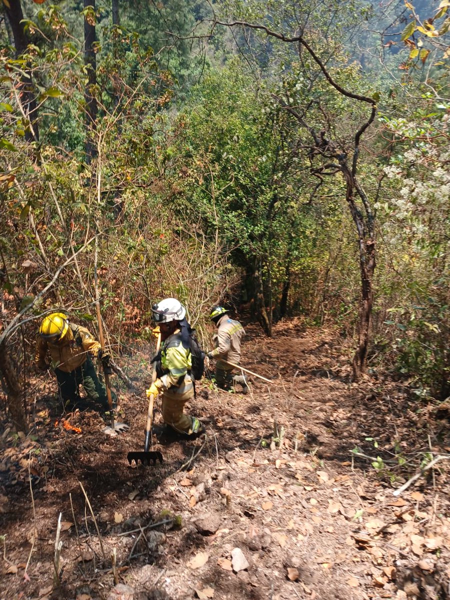 #AHORA Se registra un incendio en Pocohil, Chichicastenango, Quiché | Vía <a href="/ConredGuatemala/">CONRED</a>