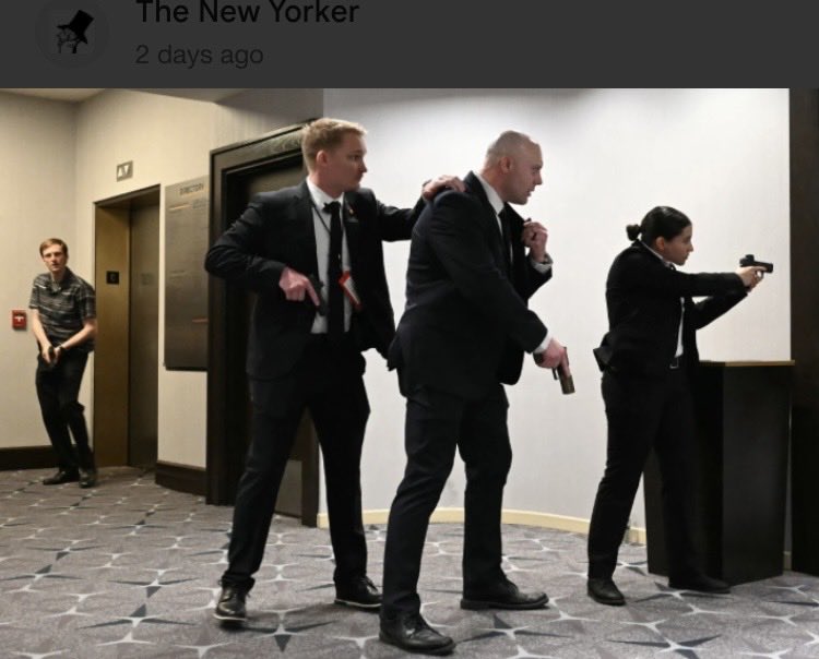 Suzie rizzio tweet media