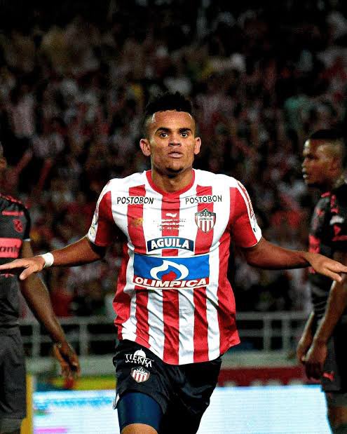 O Burrinho tweet media