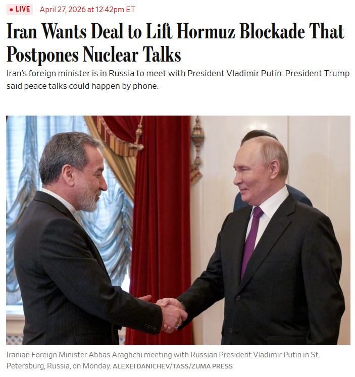 royalchib tweet media