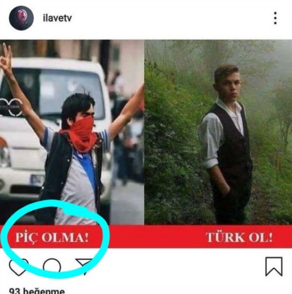 Ali Haydar tweet media