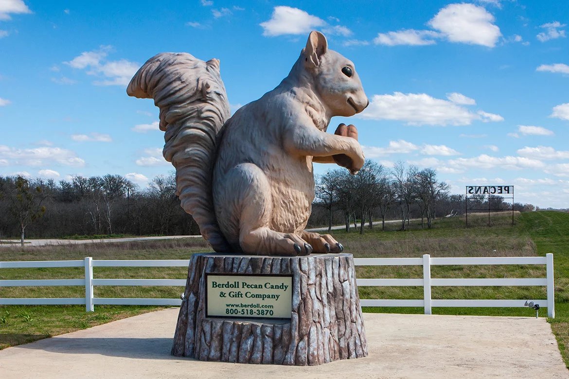 <a href="/xanathgum/">araña</a> Buc-ee is a beaver, so, distant cousin, maybe. That said, you should meet Ms. Pearl, the giant squirrel that sells pecans just outside of Austin