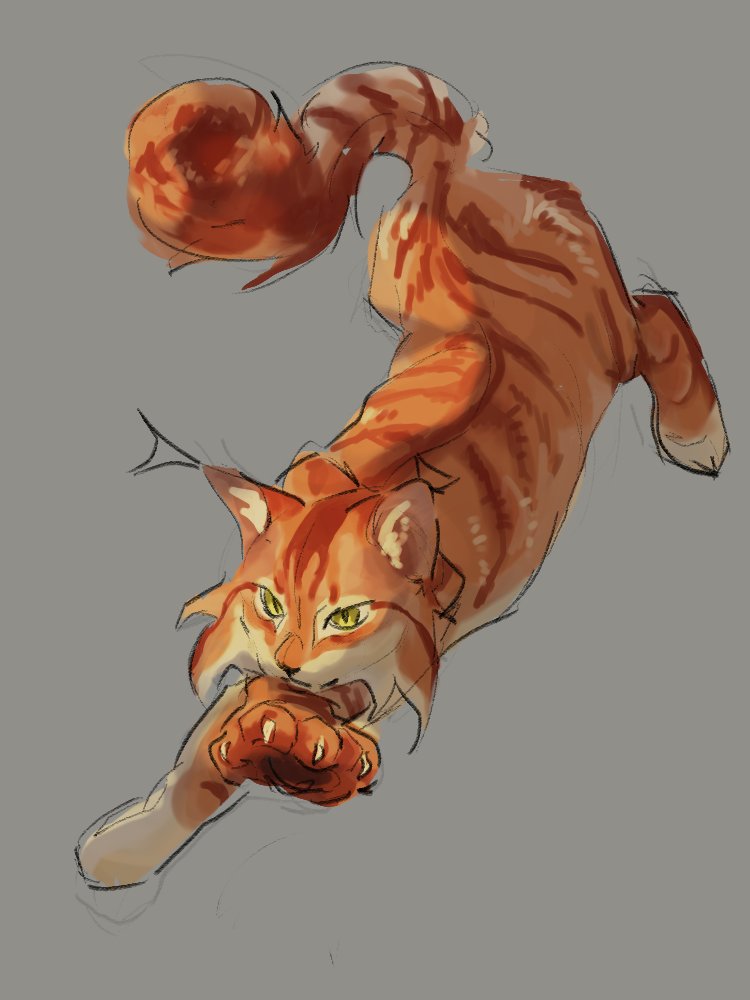 ・❥・ Kris ・❥・ tweet media