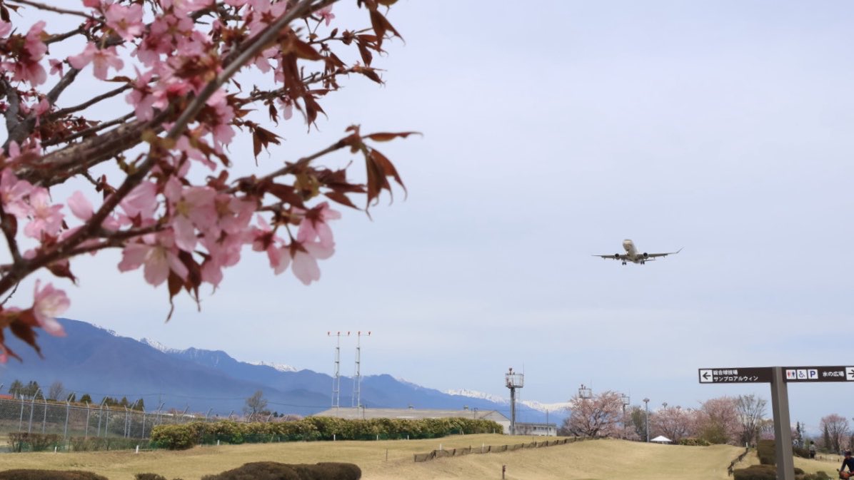 kanayu51's tweet image. おはようございます☀

4月29日・水曜日✨昭和の日㊗️
今日からGWｽﾀｰﾄの方もいるのかな？
大型連休中は道路も駐車場も混雑しそう…
余裕を持って出かけましょ🎵
みなさま 今日も良い一日を🤗

＊＊花咲く春の松本空港✈️☘️🌷🌸＊＊

#フジドリームエアラインズ
#FDA