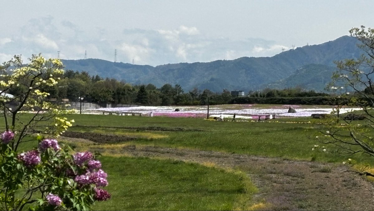 kanayu51's tweet image. おはようございます☀

4月29日・水曜日✨昭和の日㊗️
今日からGWｽﾀｰﾄの方もいるのかな？
大型連休中は道路も駐車場も混雑しそう…
余裕を持って出かけましょ🎵
みなさま 今日も良い一日を🤗

＊＊花咲く春の松本空港✈️☘️🌷🌸＊＊

#フジドリームエアラインズ
#FDA