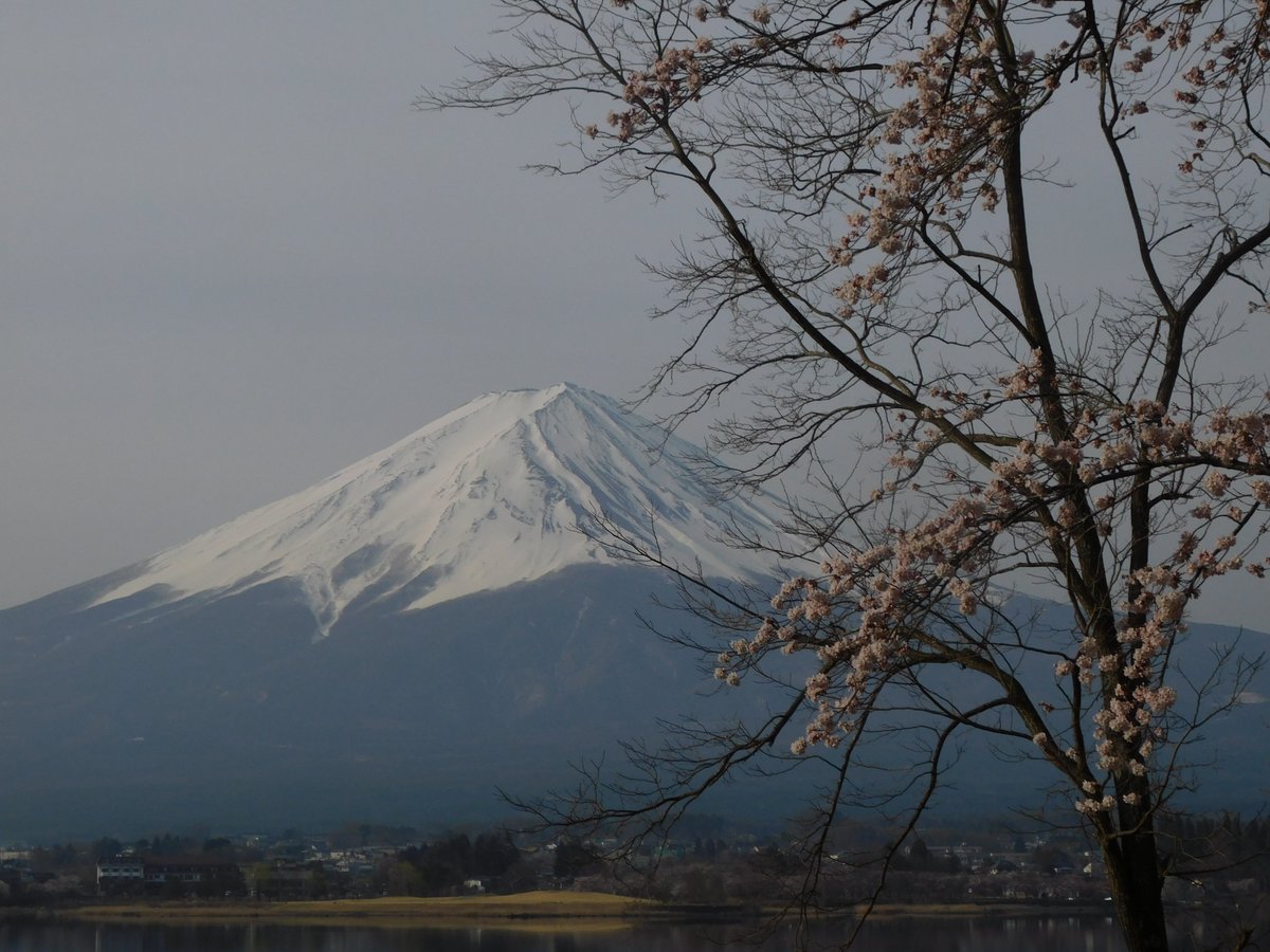 AnemoVerde's tweet image. 2026.4.29(水・祝)☁14℃ 🌄4:54 🌇18:28
おはようございます🎶
#朝
#おはよう
#Morgen