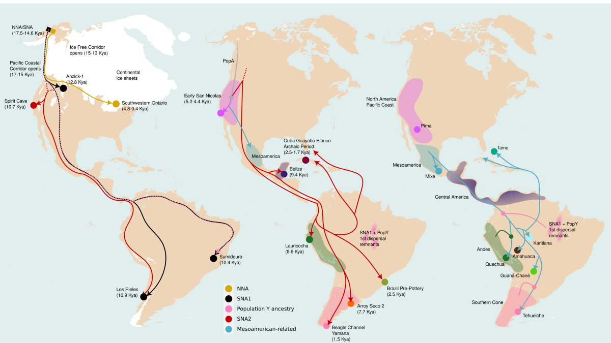Qafzeh's tweet photo. Largest genomic dataset of Indigenous Americans to date sheds light on history, diversity and health
https://t.co/030kbIdUp9 https://t.co/uIkQgXrpkE