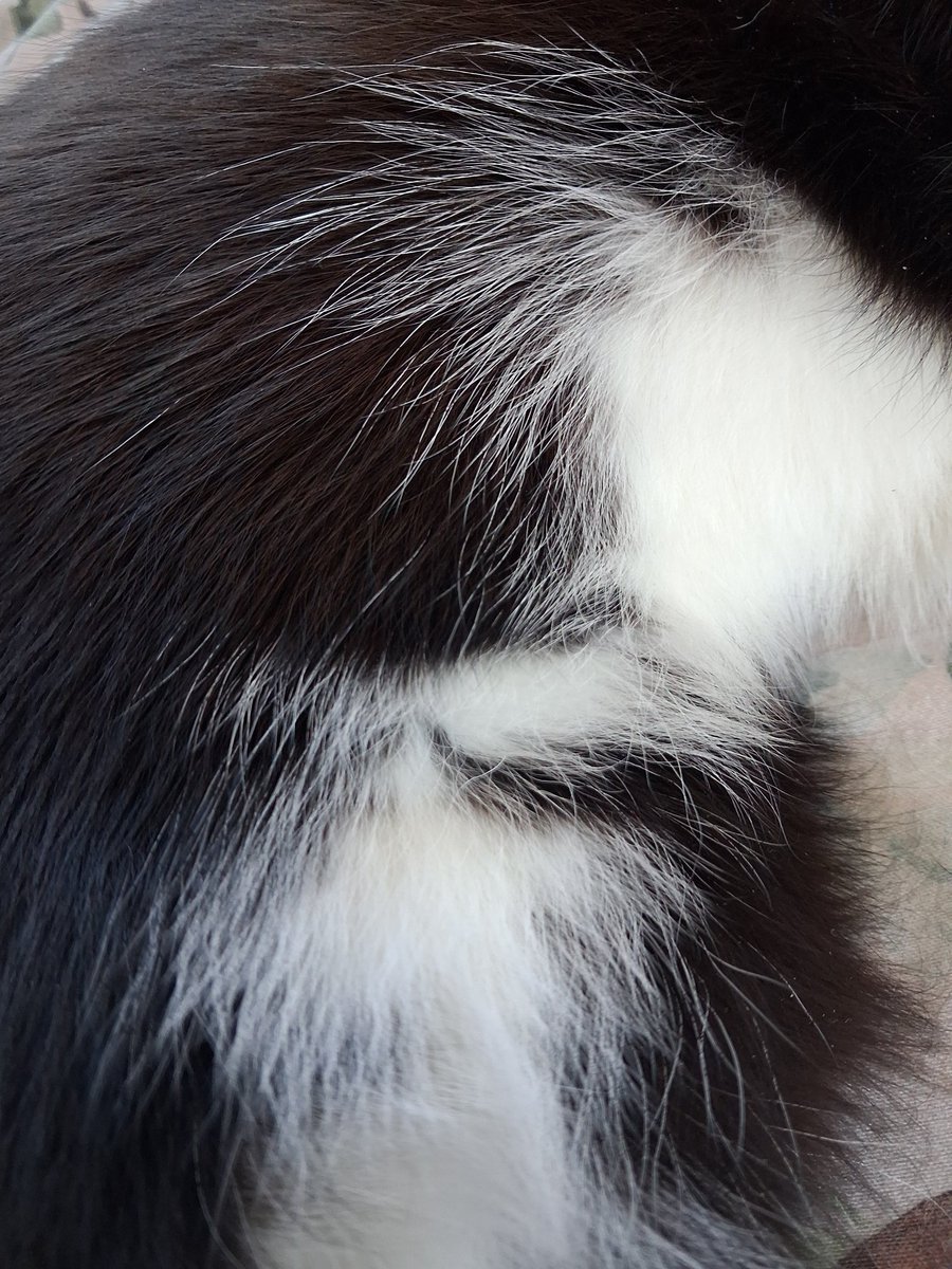 ハル🇸🇪Kindle 出版📚マインドフルな毎日をスウェーデンよりお届け tweet media