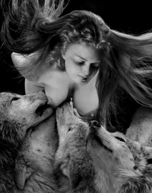 ☽❩ Ꮶҽ†zʌηʌlψ tweet media