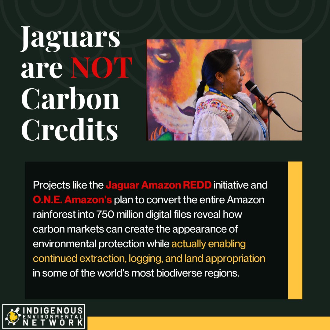 IENearth's tweet photo. Indigenous leaders at the UN are calling it what it is, digital colonialism: corporations are tokenizing our sacred jaguars, whales, and entire rainforests as blockchain carbon credits without consent, repackaging land theft as climate action.
#DefendTheSacred https://t.co/lygs5EZtDr