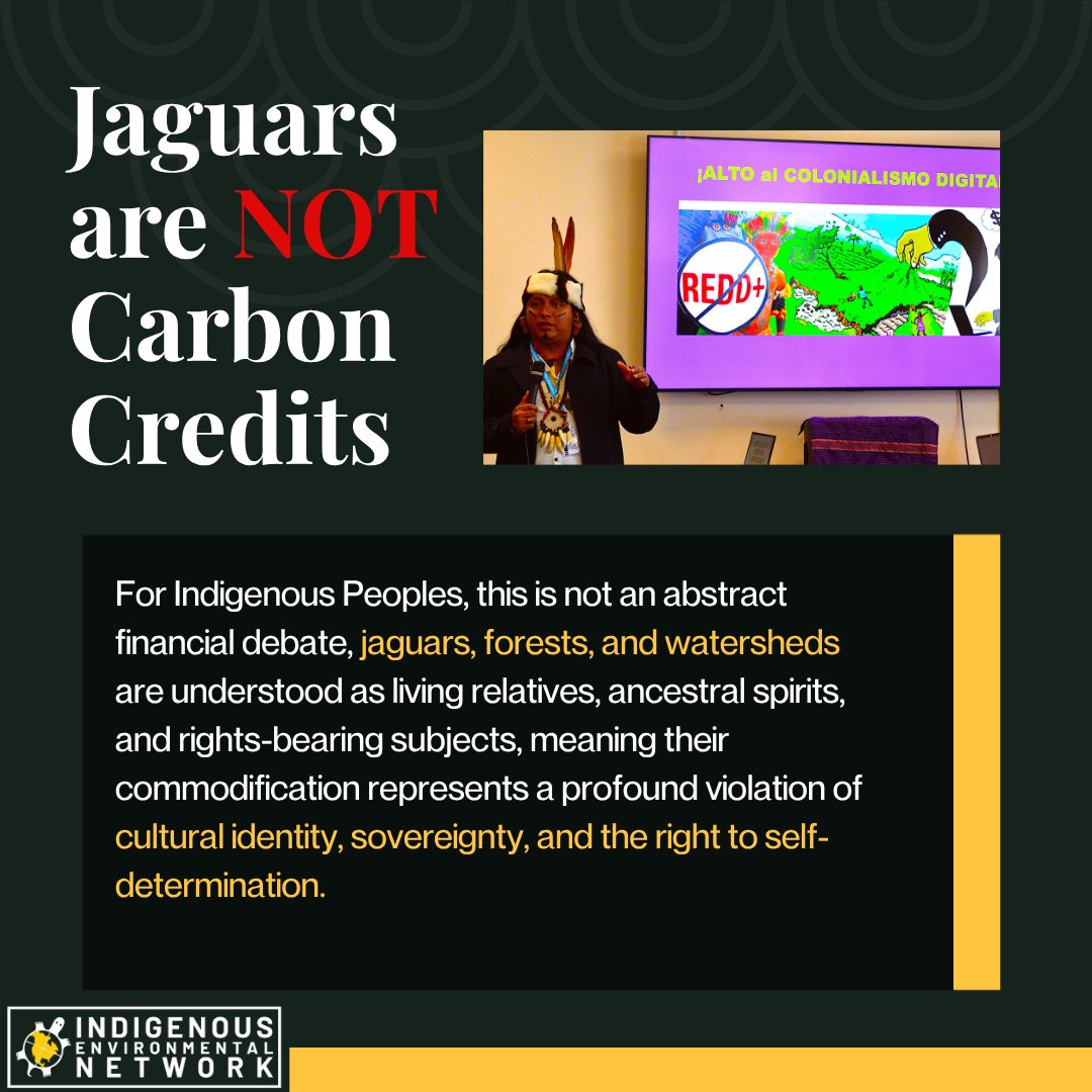 IENearth's tweet photo. Indigenous leaders at the UN are calling it what it is, digital colonialism: corporations are tokenizing our sacred jaguars, whales, and entire rainforests as blockchain carbon credits without consent, repackaging land theft as climate action.
#DefendTheSacred https://t.co/lygs5EZtDr