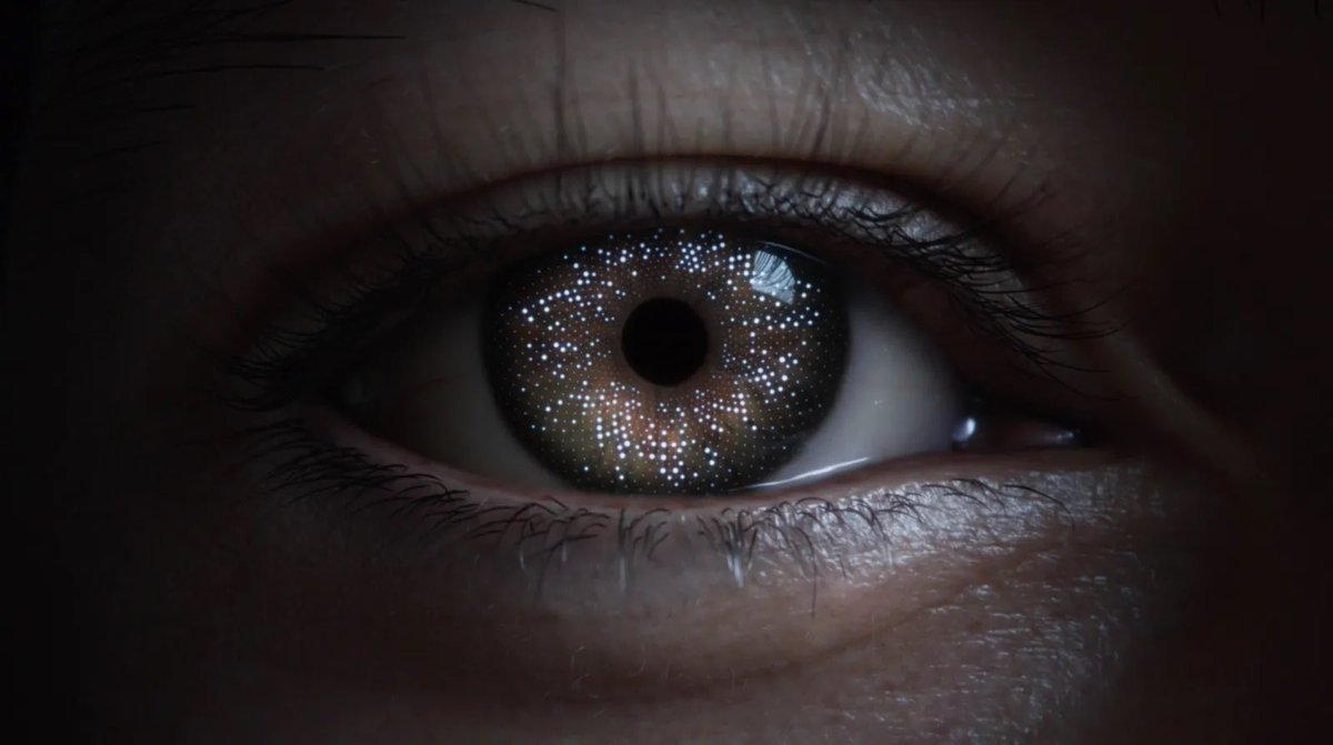 Apple Vision Report tweet media