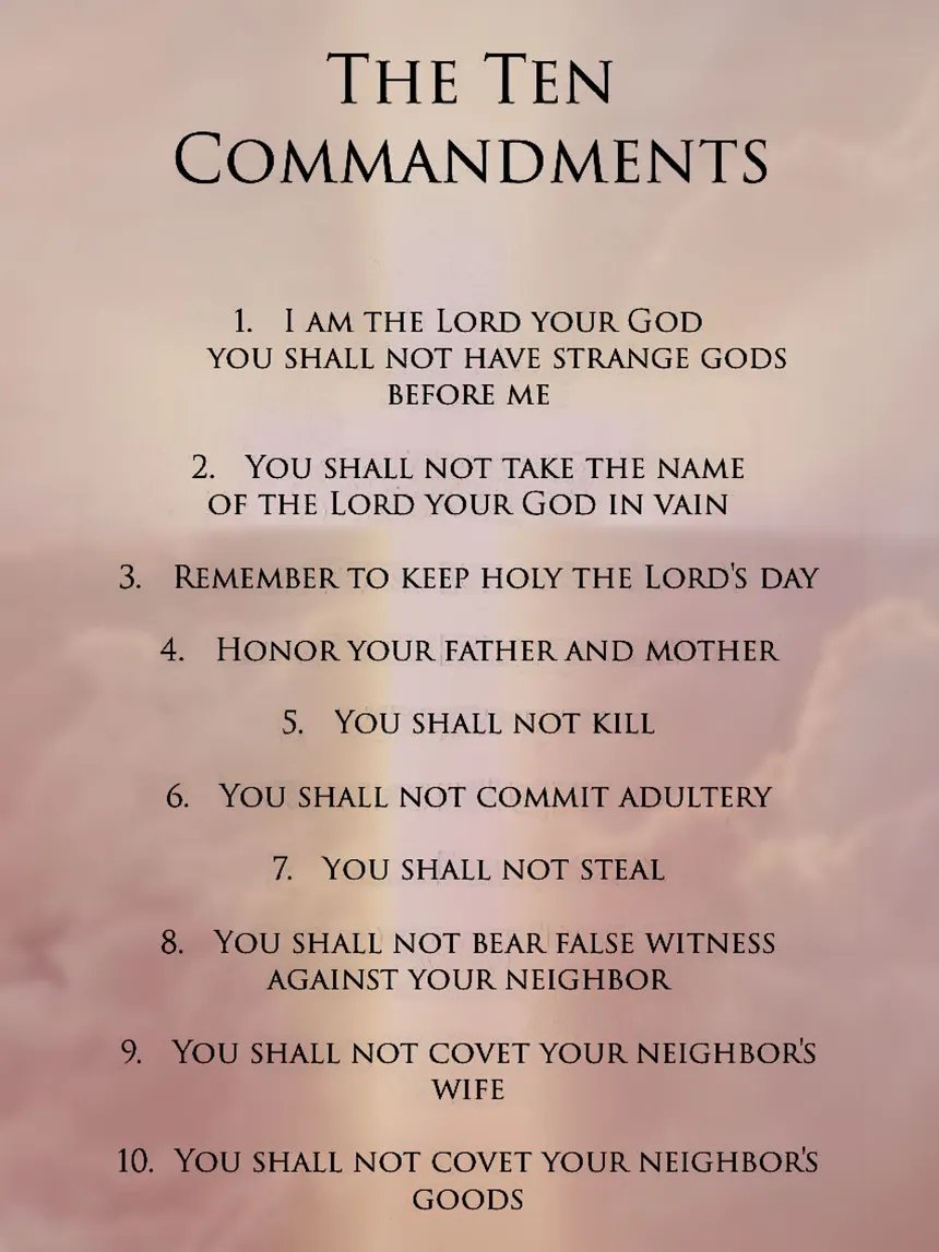 ULTRA MAGA SchnitzelChick tweet media