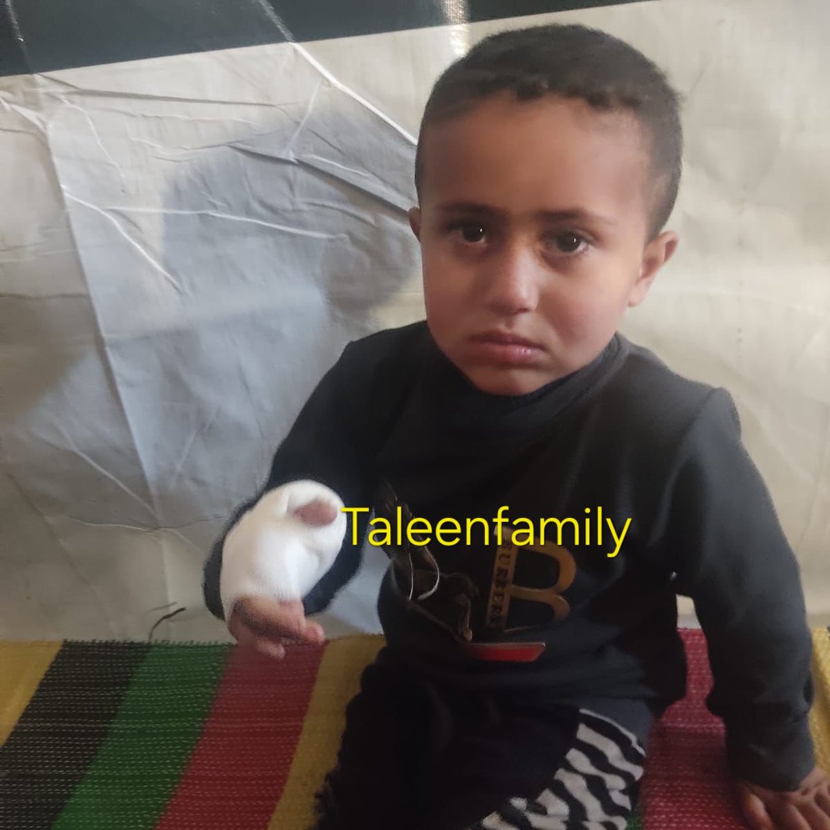 Taleen Family 🍉 tweet media
