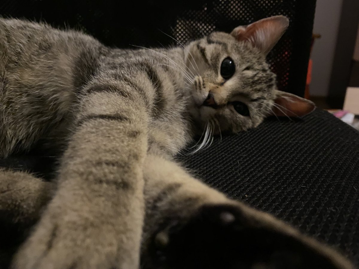 mywildfloweeer tweet media