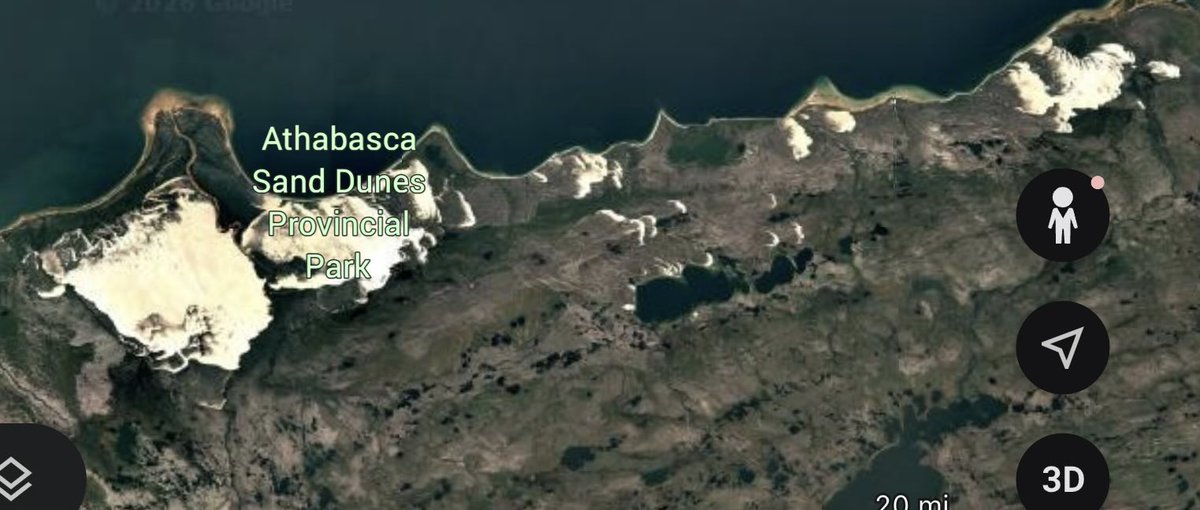 David of the Light tweet media