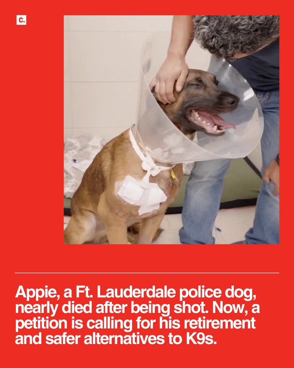 Change.org tweet media