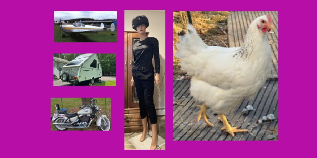 thepapershop's tweet image. Where can you #find a #1961ForneyErcoupeF-1A a #2016A-LinerPopUpCamper a #vintage1997HondaClassicShadow a #FemaleMannequin and #LayingHens? 

thepapershop.com
#papershop your #trusted #local #classifiedads in #nepa for #58years