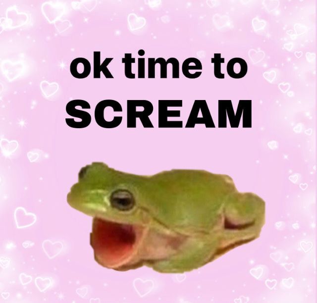 No Context Frogs tweet media