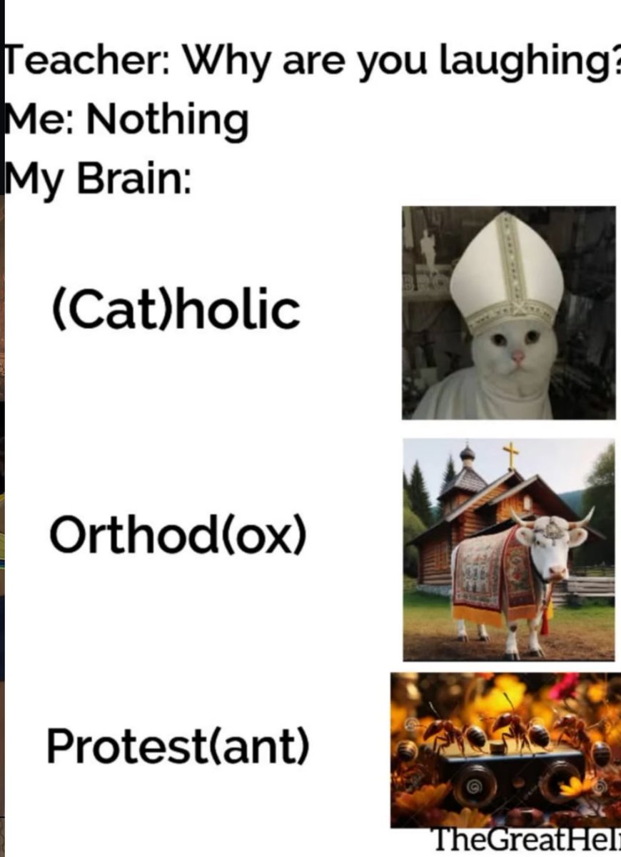 Memewhile321's tweet image. #Catholic #Christian