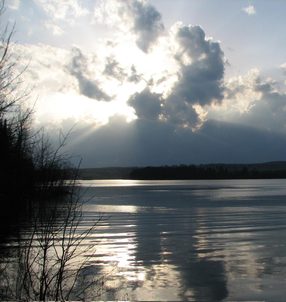 mcmulle1's tweet image. Happy Tuesday to you!🤩
#sunset #sunsetphotography #tuesdayvibe