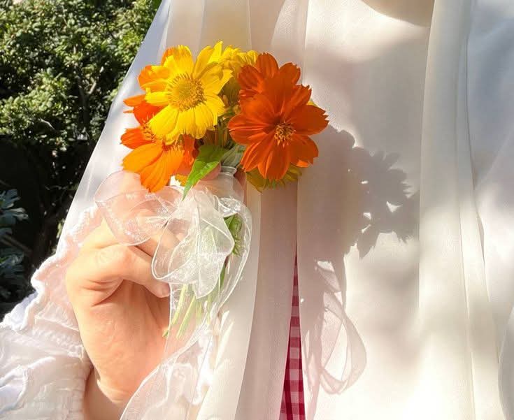 🖤شاہ_زادی tweet media