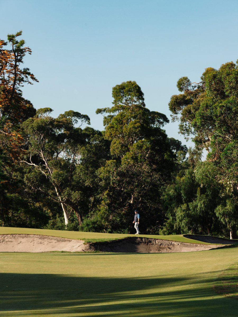 CommonwealthGC's tweet photo. Morning light, long shadows, lethal bunkering. https://t.co/gVGad1je1Z