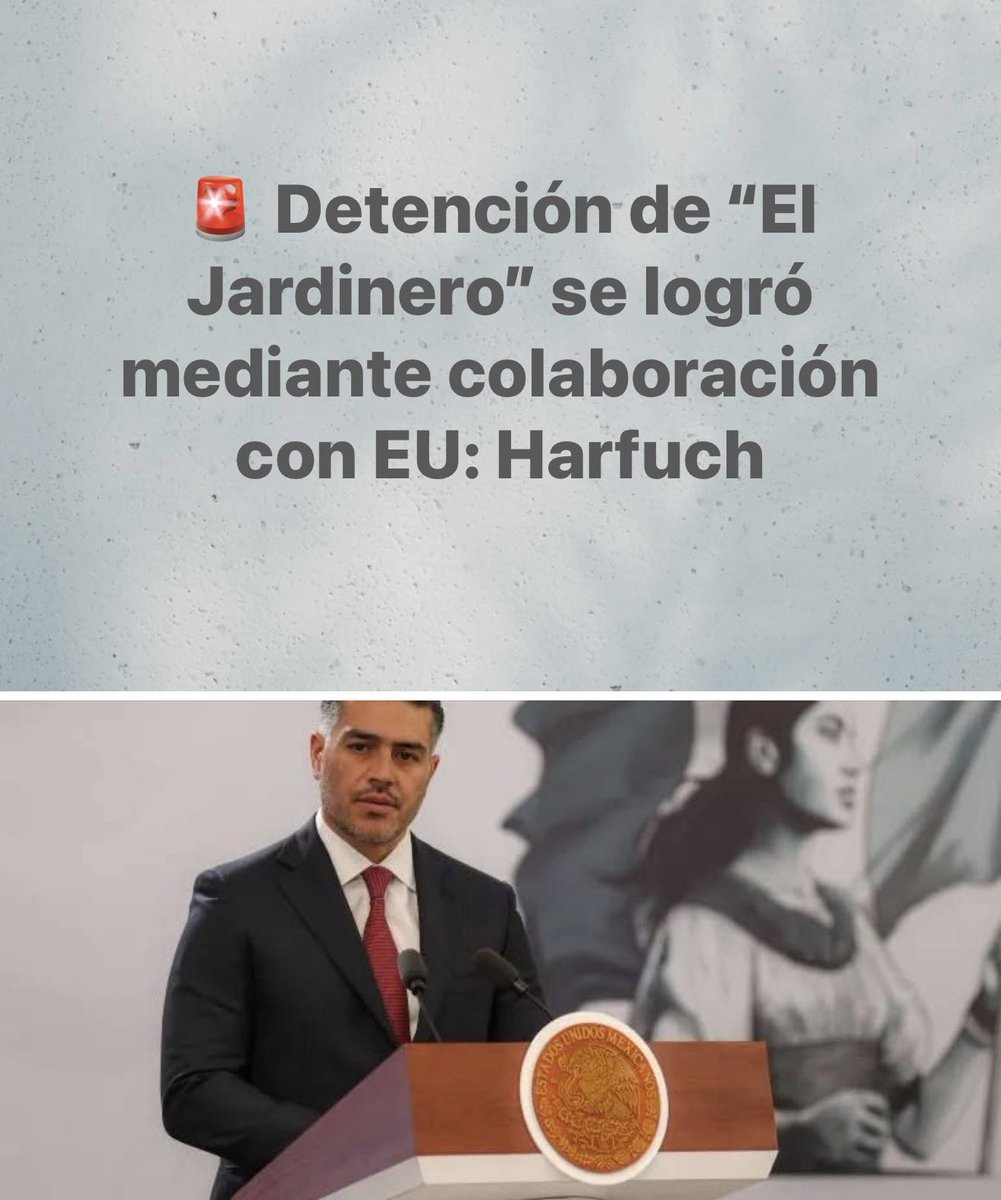 JDM :): tweet media