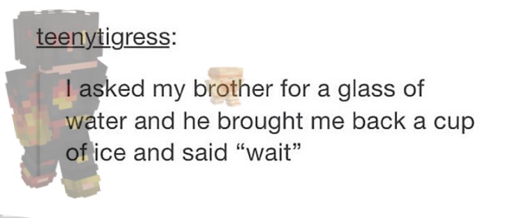 ✦ merlin tweet media