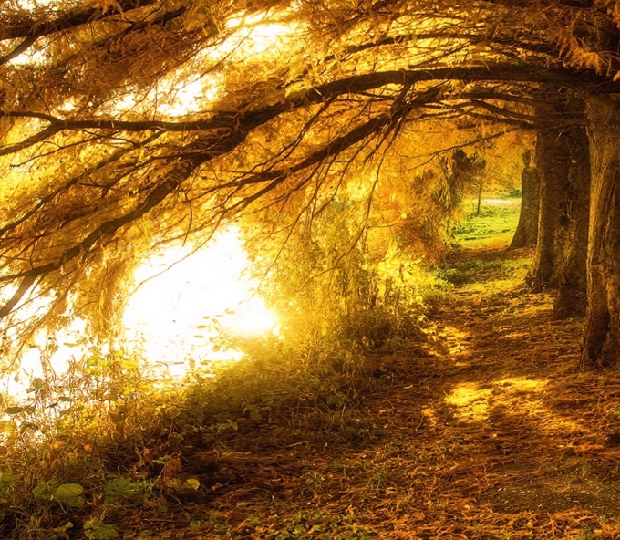 ShannonHypnotic's tweet image. Hypnosis is actually a natural, organic state of mind, identical to the deep 'flow state' you enter when reading a gripping novel. Rediscover your best self through hypnotherapy. shannon-doyle.com/toxic-relation… #hypnosis #hypnotherapy #toxicrelationships #toxicpeople #toxicfamily