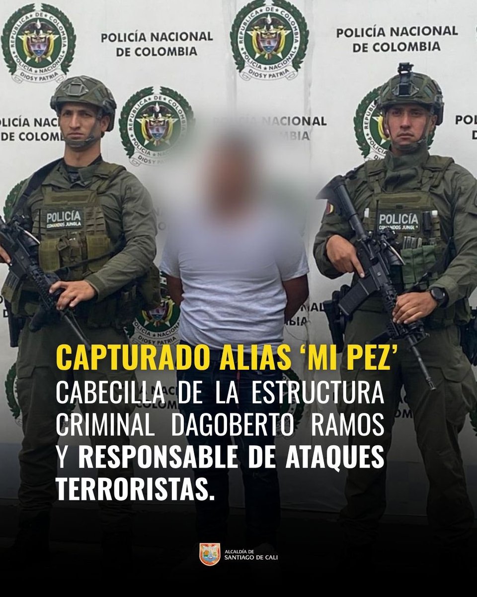Capturado alias ‘Mi Pez’ o ‘David’, cabecilla de la estructura criminal Dagoberto Ramos y responsable de los ataques terroristas registrados el pasado 25 de abril en Cajibío, Cauca.