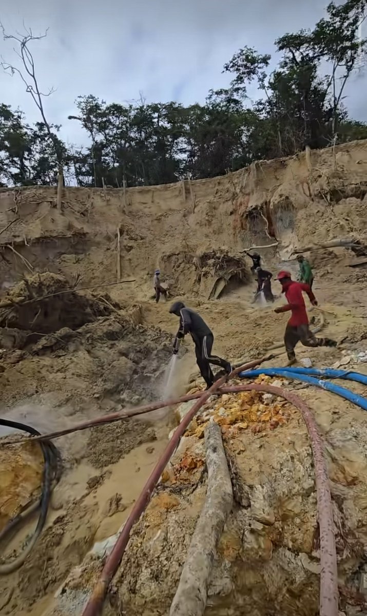 Fritz_A_Sanchez's tweet image. #Atencion #Venezuela 

Dolorosamente, continúa la perdida de bosques ribereños en la región El Dorado #edoBolivar ante el avance de un extractivismo aurífero ilegal que a ninguna autoridad política, policial o militar, desea detener ...

#AmbienteSinDerechos 
#SurDelOrinoco