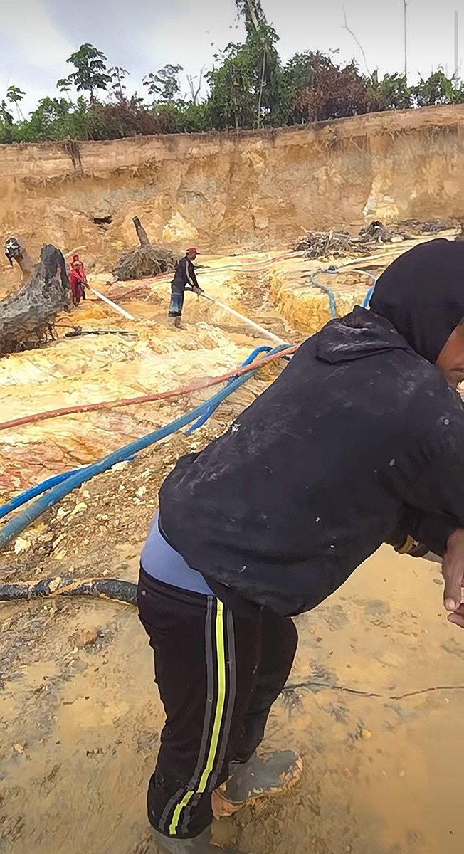 Fritz_A_Sanchez's tweet image. #Atencion #Venezuela 

Dolorosamente, continúa la perdida de bosques ribereños en la región El Dorado #edoBolivar ante el avance de un extractivismo aurífero ilegal que a ninguna autoridad política, policial o militar, desea detener ...

#AmbienteSinDerechos 
#SurDelOrinoco