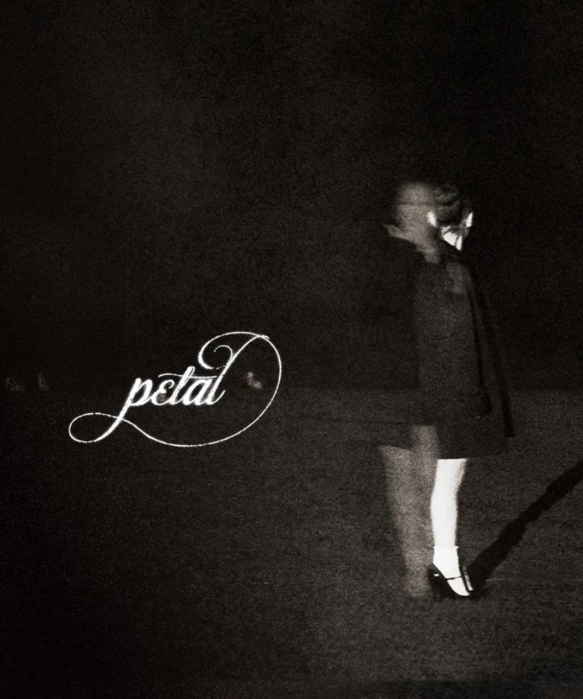 jayꕤ🗝 tweet media