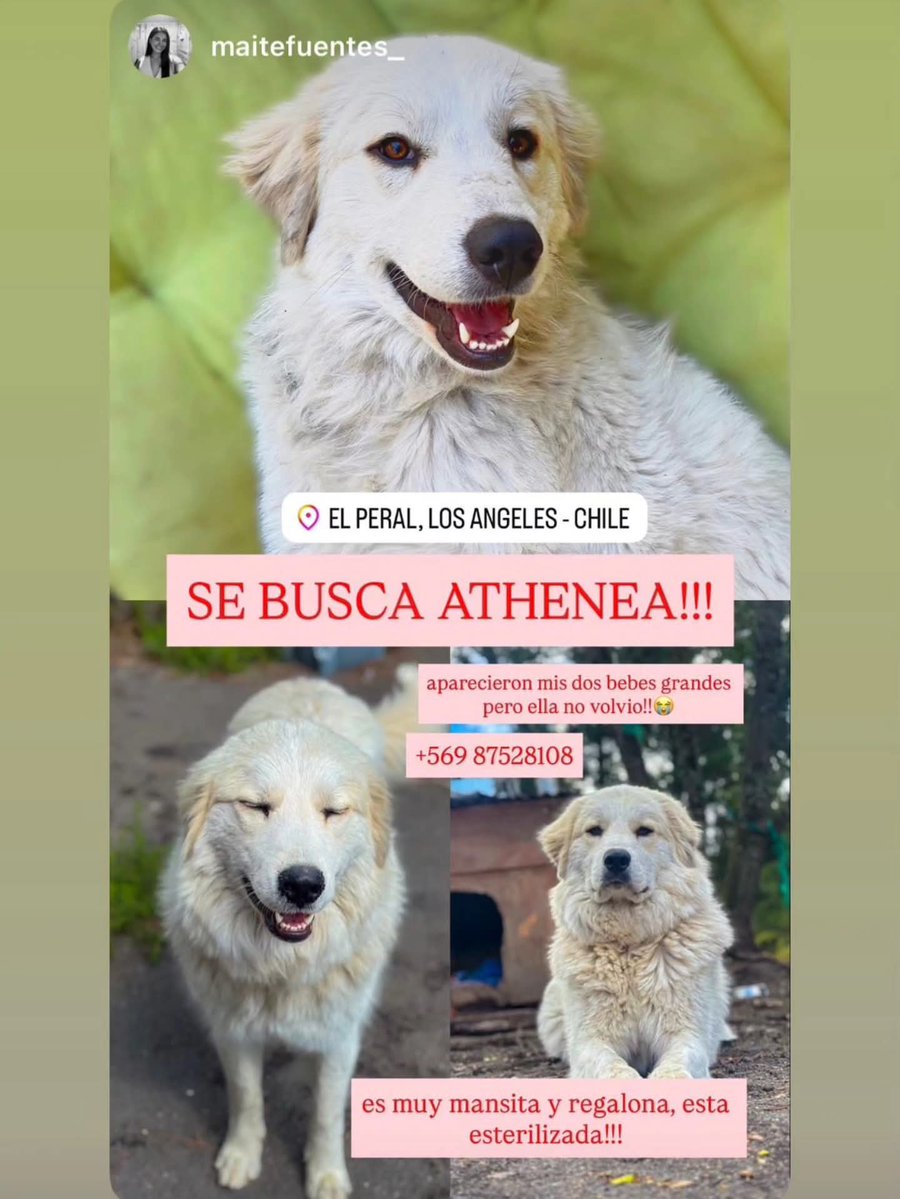 LORE TIN tweet media