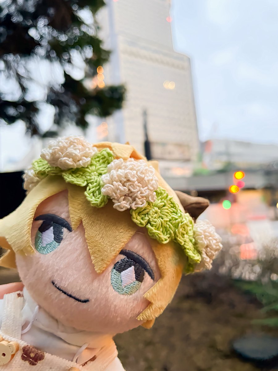 ぱちぱちさん家 tweet media
