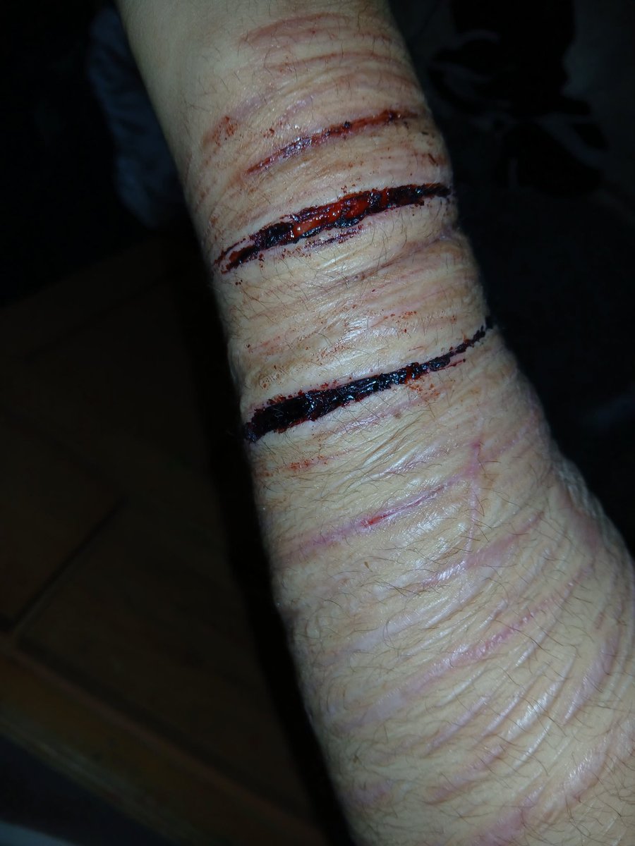 𐙚 ! Bear of shedtwt tweet media