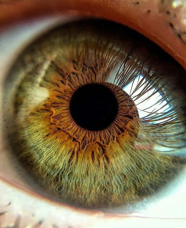 All day Astronomy tweet media