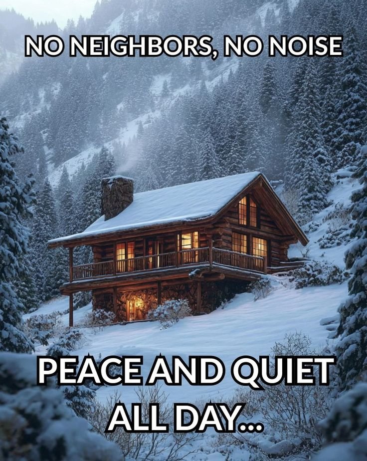 Mountain Cabins tweet media