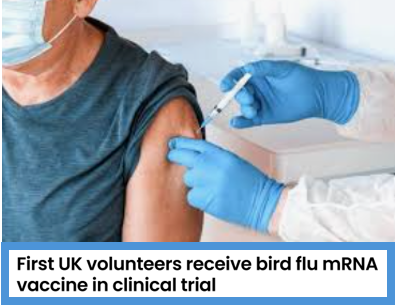 bennel62's tweet image. Clinical trial of #birdflu #vaccine underway in #UnitedKingdom paulsnewsline.blogspot.com/2026/04/clinic…