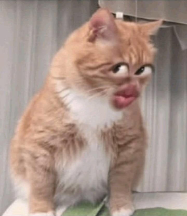 Пужа 🐾 tweet media