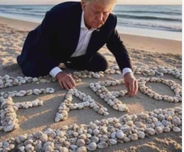 Freedom Quest Network tweet media