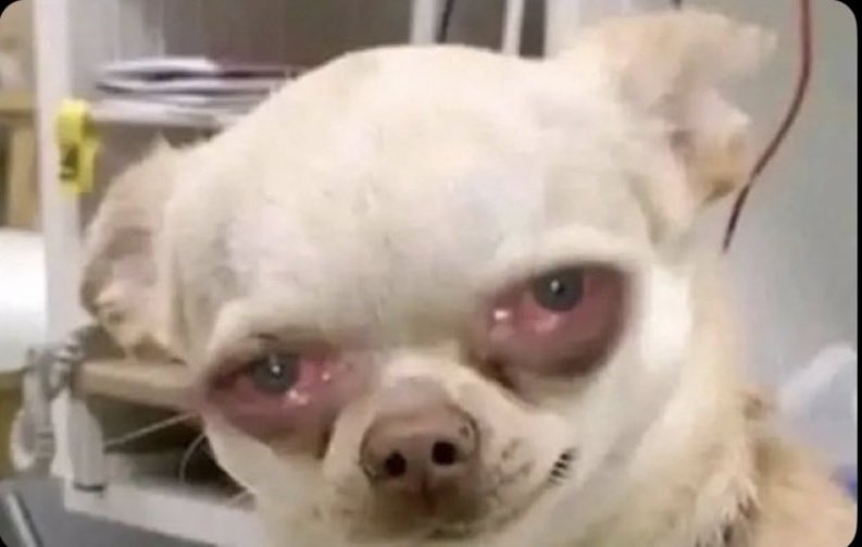 Cruiser 🚶🏾‍♂️ tweet media