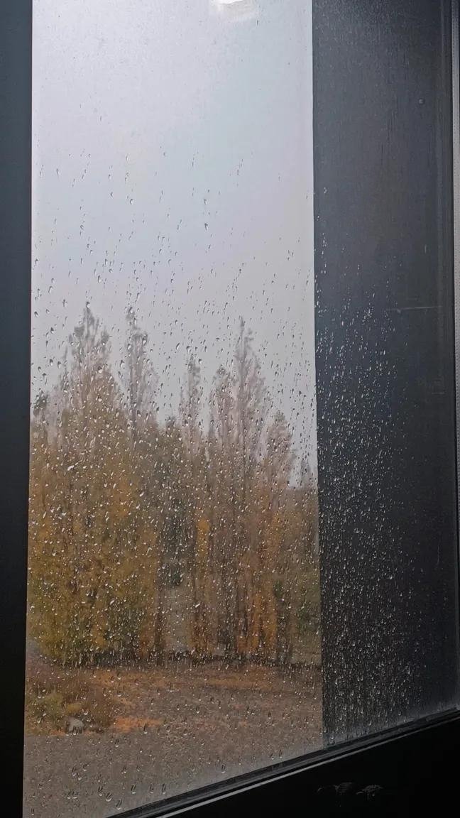 Lehuen💛 tweet media