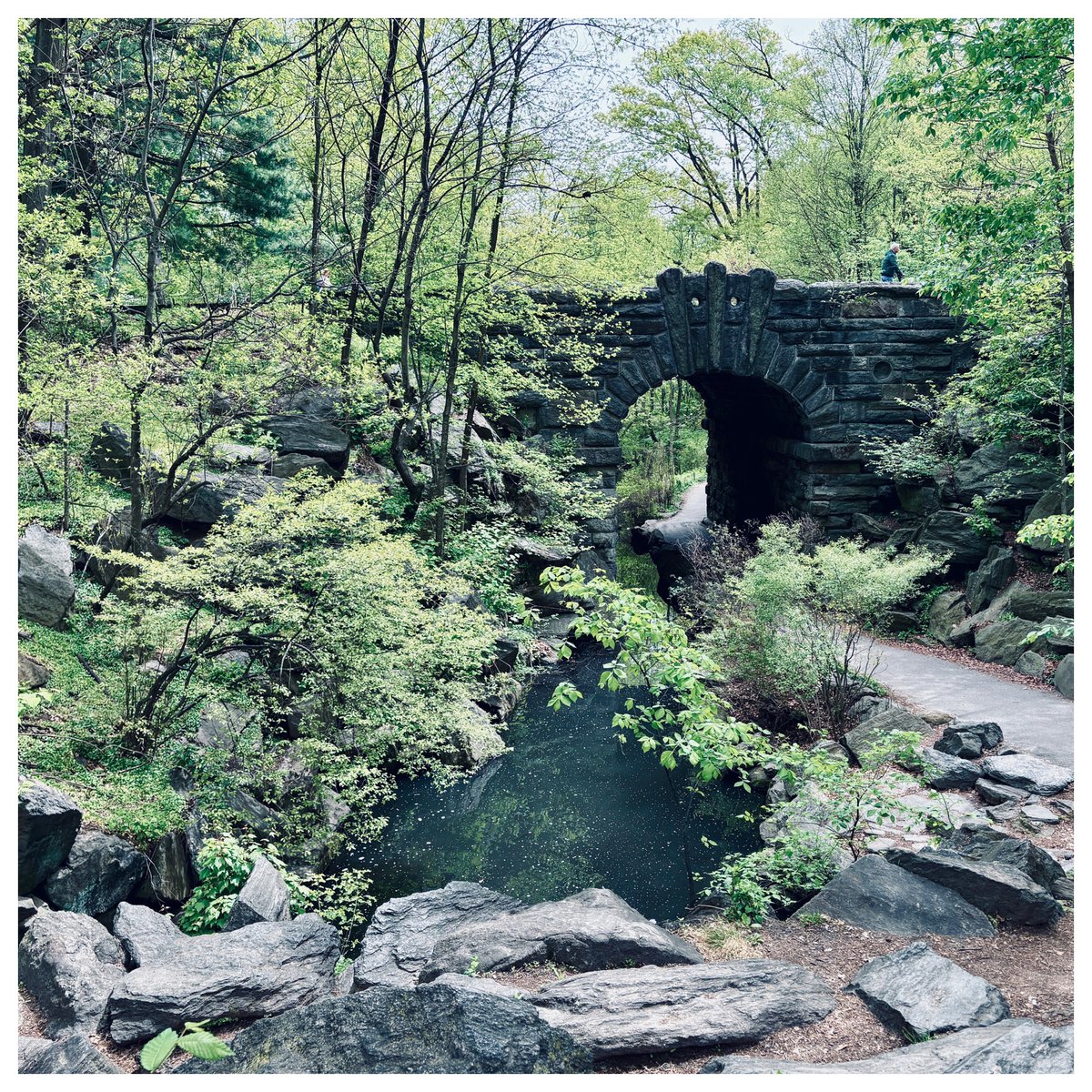 Seán Ono Lennon tweet media