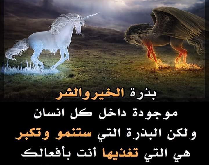 ♕زهرةالربيع♕ tweet media