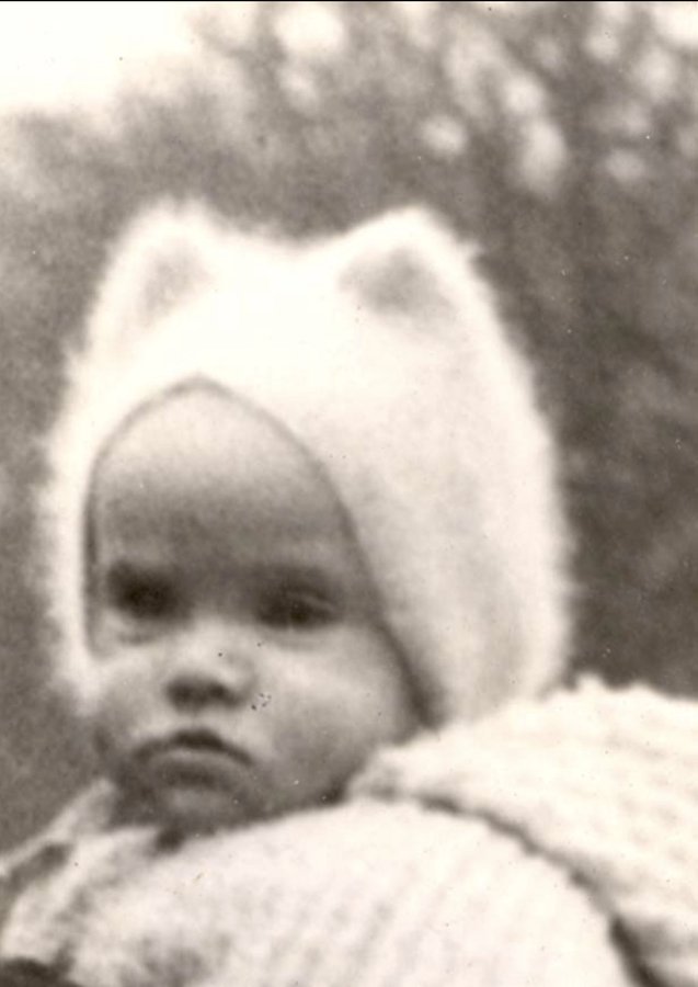 Auschwitz Memorial tweet media