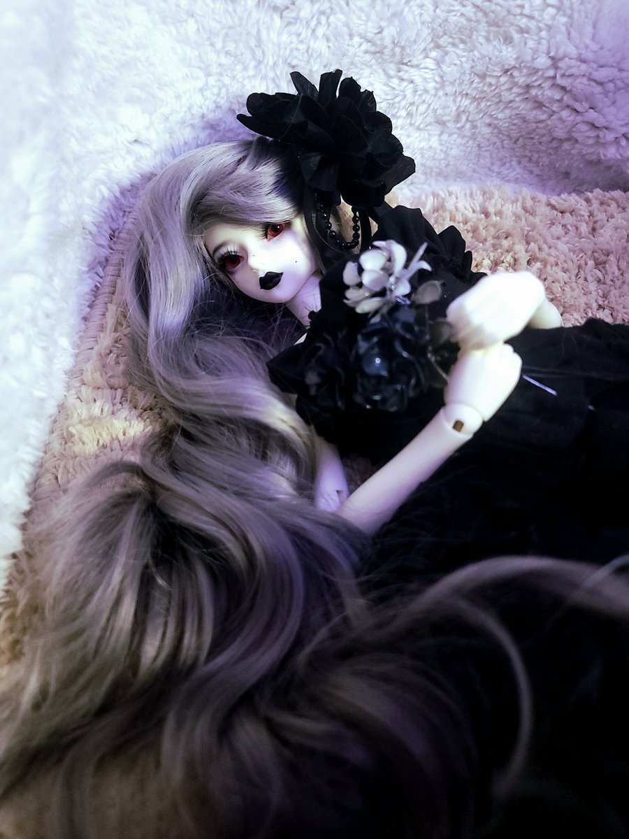 *Cxia-浩太*⌒*Doll垢 tweet media